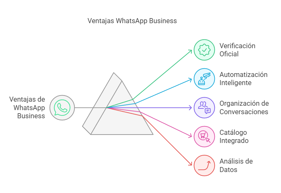 Ventajas whatsapp business, que ventajas da usar whatsapp business:
verificación oficial, automatización inteligente, organización de conversaicoens, catálogo integrado, análsis de datos